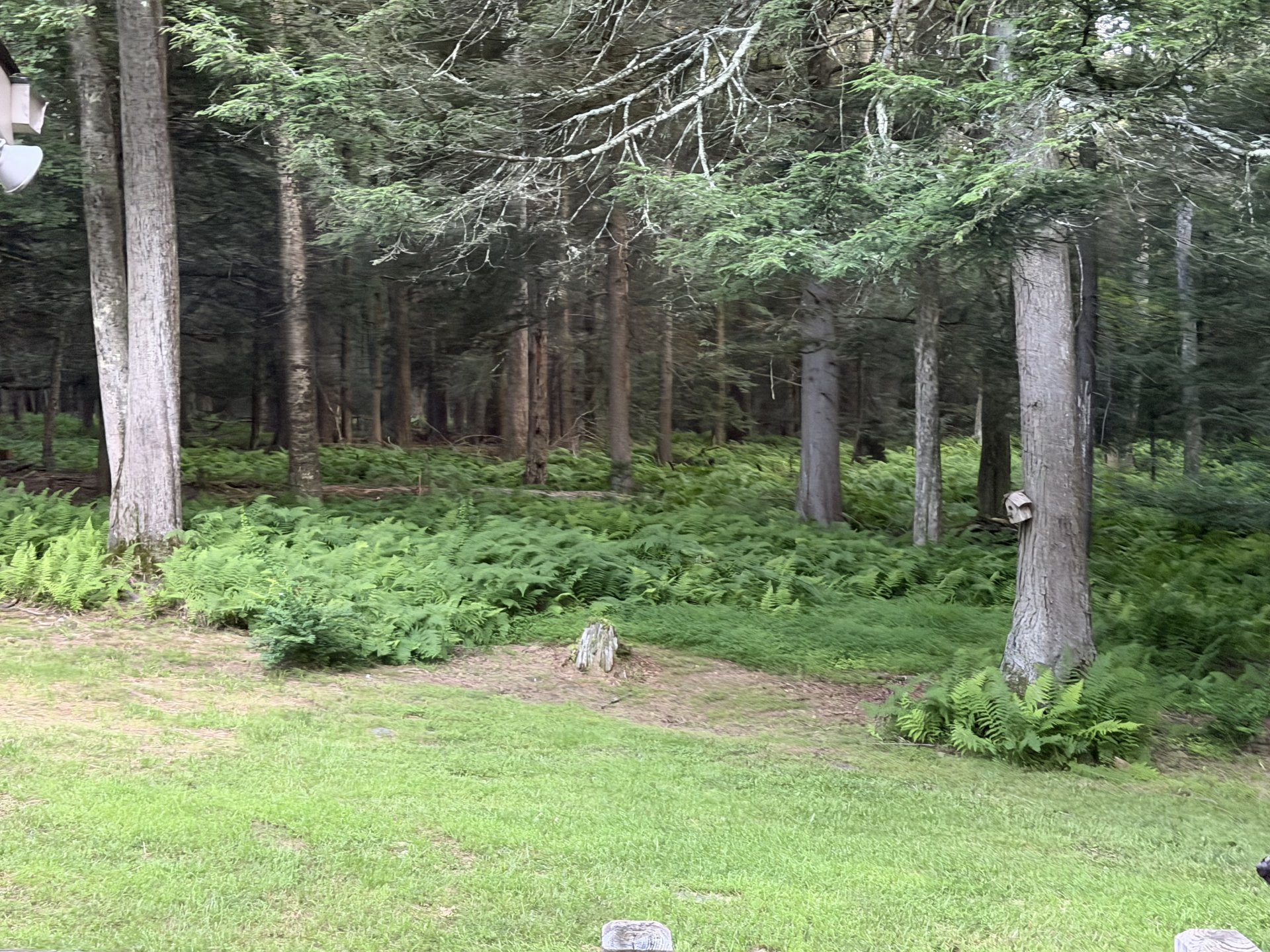 Was in the Poconos it was nice!